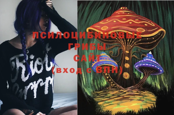 ALPHA-PVP Бородино