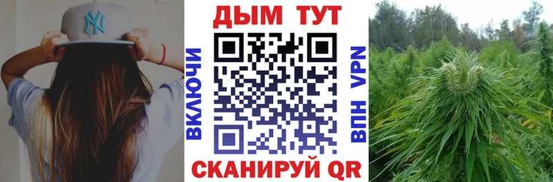 Бошки марихуана план  где купить наркоту  Шумерля 